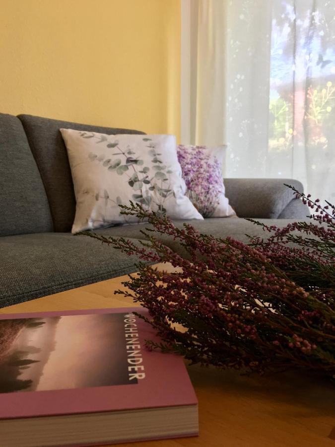 אמליינגהאוזן Ferienwohnungen Heideidylle מראה חיצוני תמונה